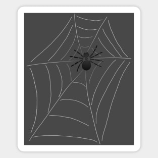 Spider Web Magnet